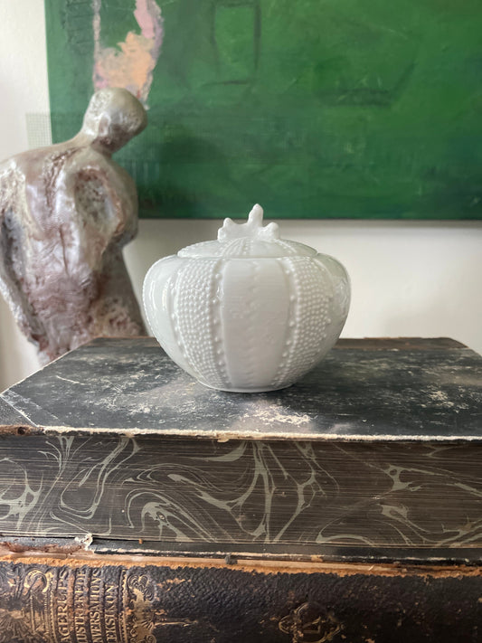 White Porcwlain Sea Coral Lidded Trinket Jar by Paris Royale