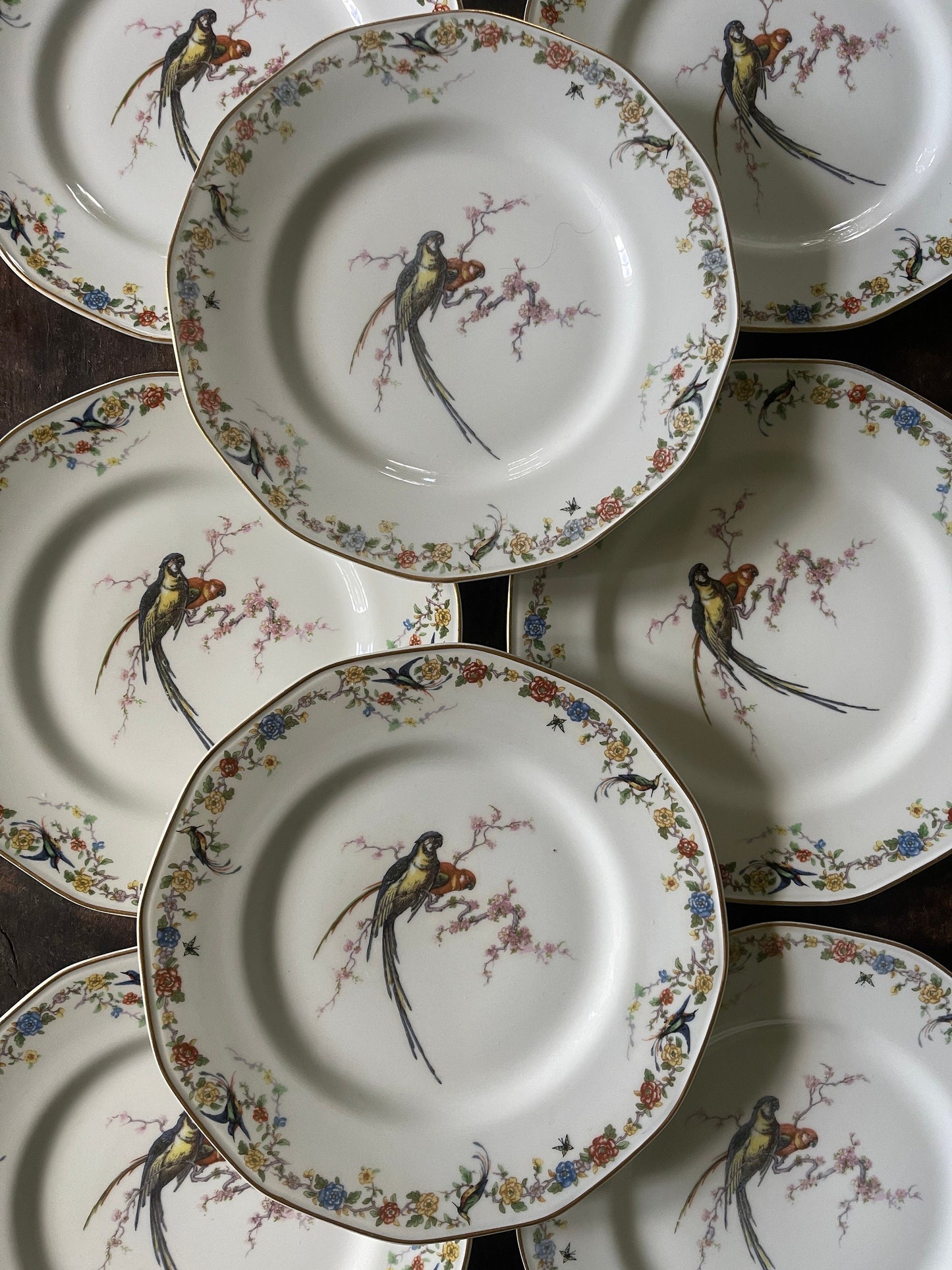 Set of Eight (8) Vintage French Theodore Haviland Limoges Arcadia Parrots 9.5” Plates