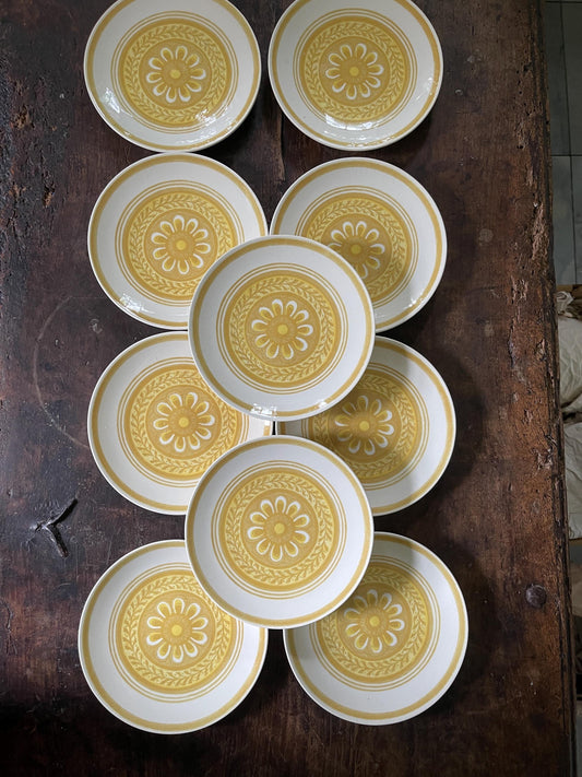 Vintage Set of Ten (10) Golsen Yellow Cavalier Ironstone 7.25” Stoneware Plates in Casablanca